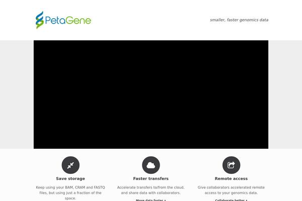 Launch Effect theme site design template sample