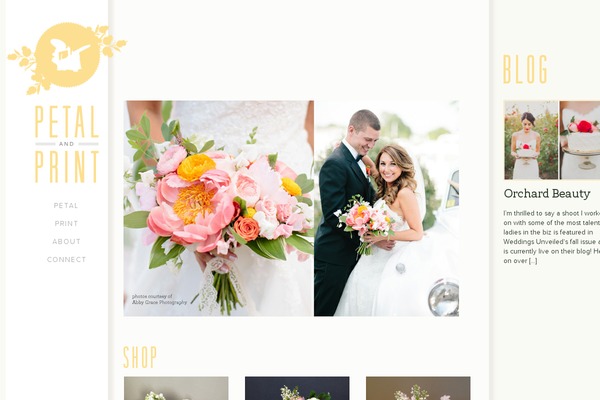 Pp theme site design template sample