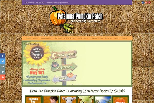 Site using Real-time-auto-find-and-replace plugin
