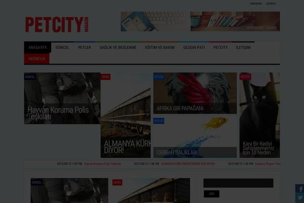 Meganews theme site design template sample