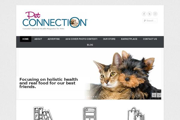 Catch Everest theme site design template sample