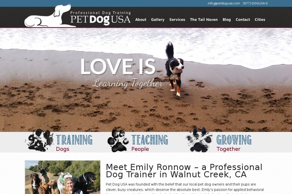 pdu theme websites examples