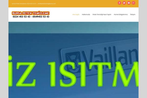 petektemizligibursa.com site used V2