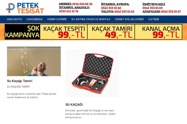 Yegor theme site design template sample