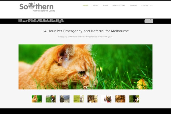 Sevenwonders theme site design template sample