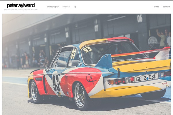 Fluxus theme site design template sample