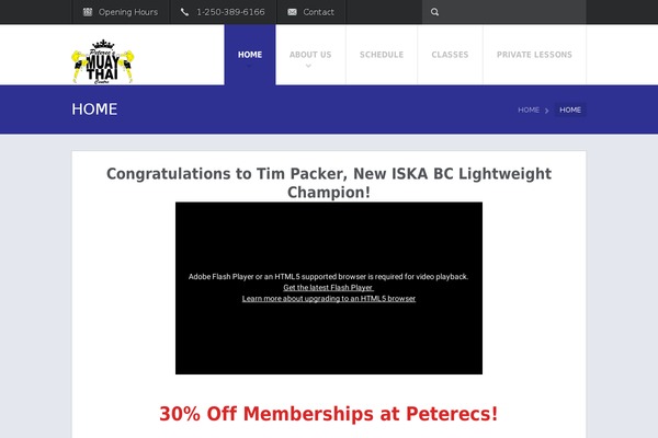 Fit Wp theme site design template sample
