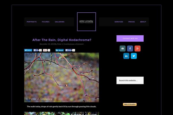 Modern-studio-pro theme site design template sample