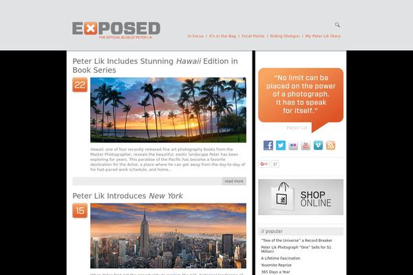 theme1125 theme websites examples