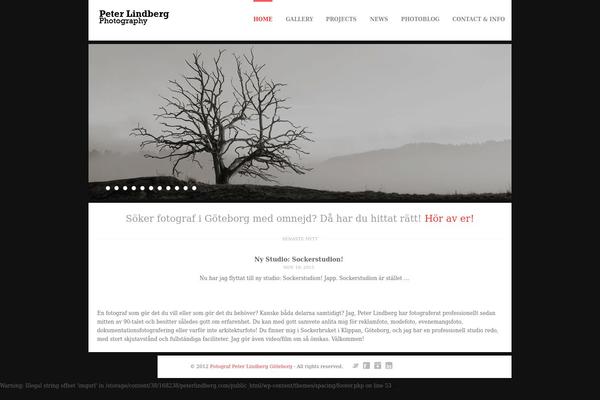 Site using AnyWP MailChimp plugin