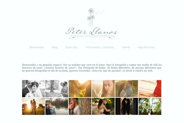 Bokeh_1_4_2 theme site design template sample