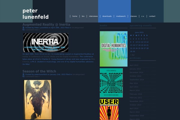 peterlunenfeld.com site used Diarynotes