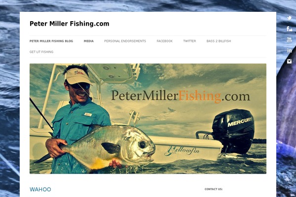 Site using Instagram for WordPress plugin