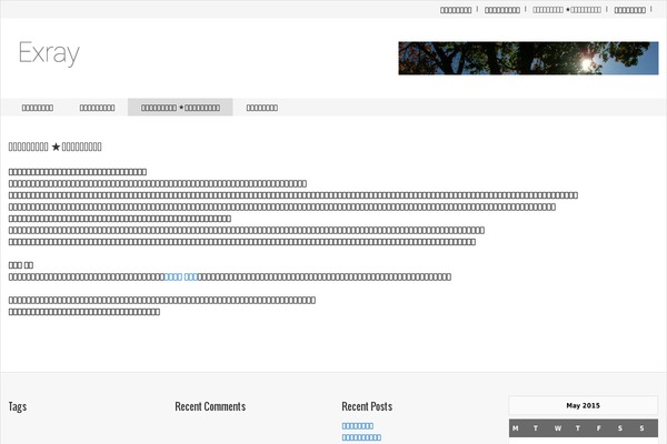 Exray theme site design template sample