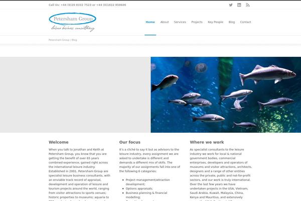 Inovado theme site design template sample