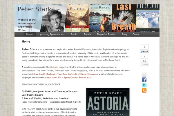 Stark theme site design template sample