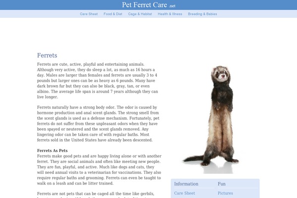Frugal theme site design template sample