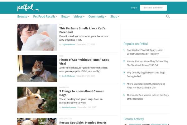 Polestar-child theme site design template sample