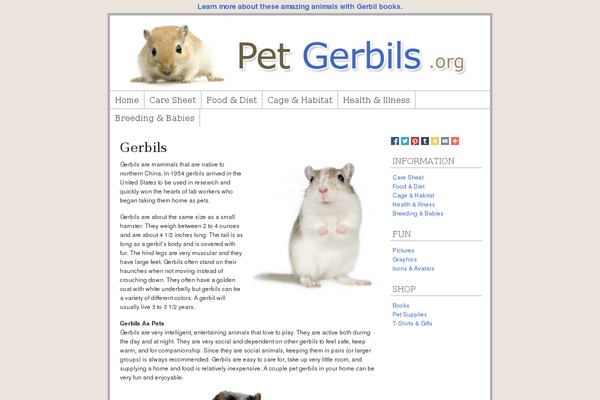 Frugal theme site design template sample