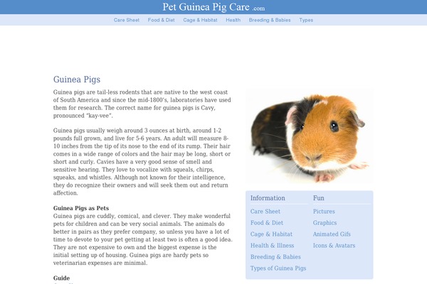 Frugal theme site design template sample