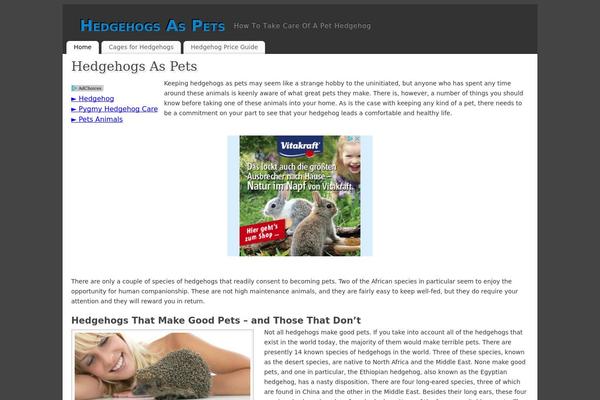 Mantra theme site design template sample