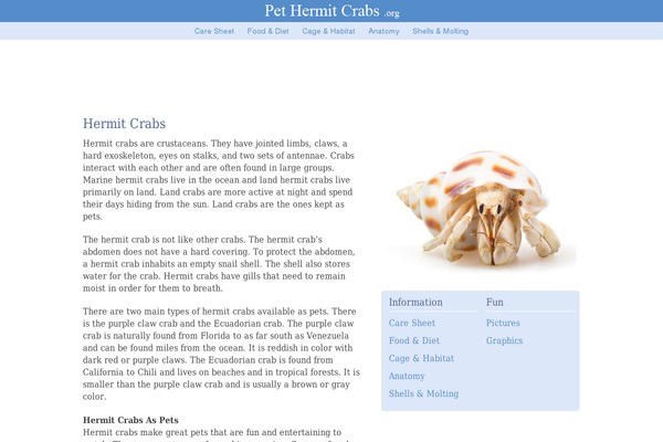 Frugal theme site design template sample