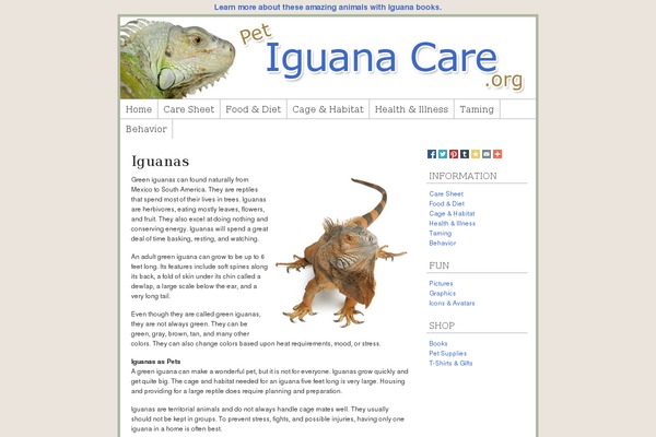 Frugal theme site design template sample