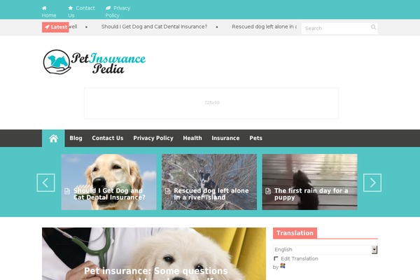 Discover theme site design template sample