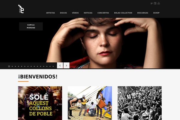 Lucidpress theme site design template sample