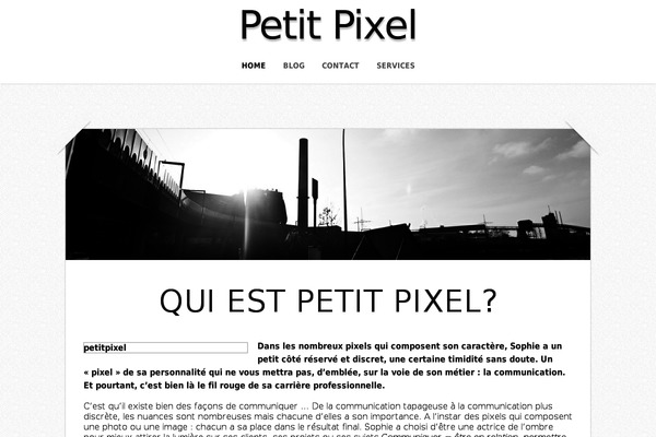 Capture theme site design template sample