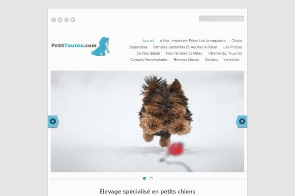 Golden Eagle Lite theme site design template sample