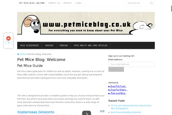 Splash theme site design template sample