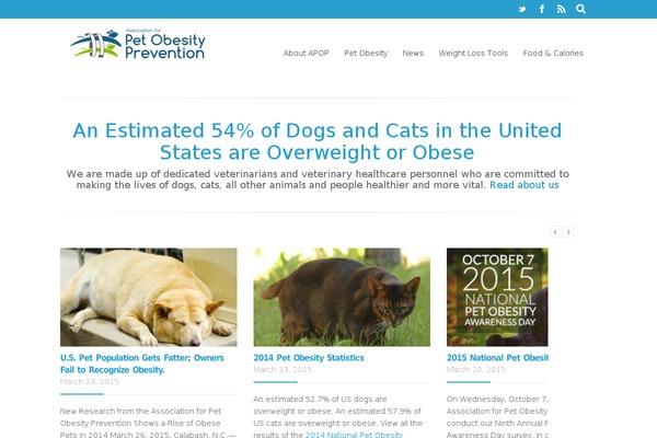Exposefolio theme site design template sample