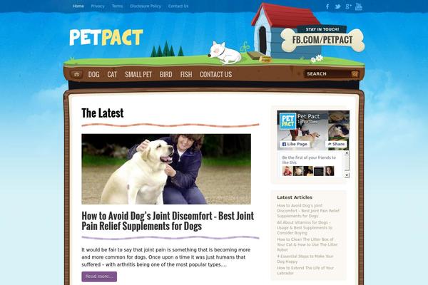 Petsandvets theme site design template sample