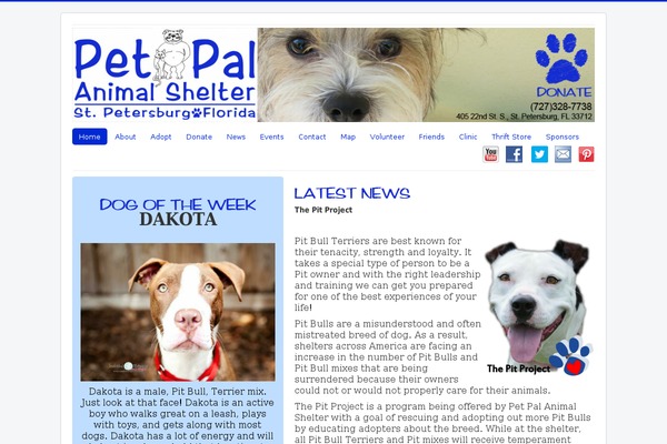 Pet-rescue theme site design template sample
