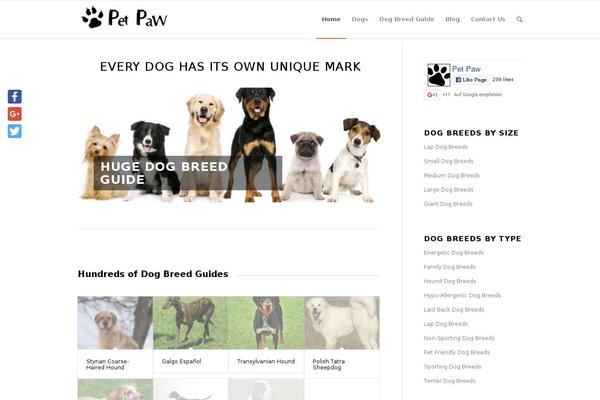 Enfold theme site design template sample