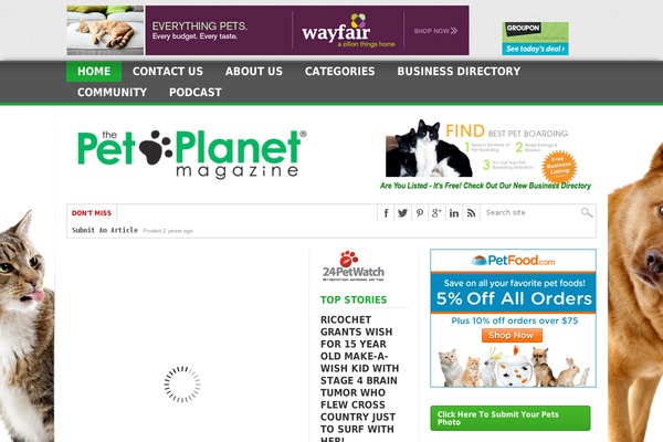 Max Mag theme site design template sample