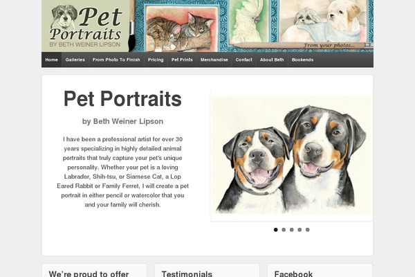 Site using Captain Slider plugin