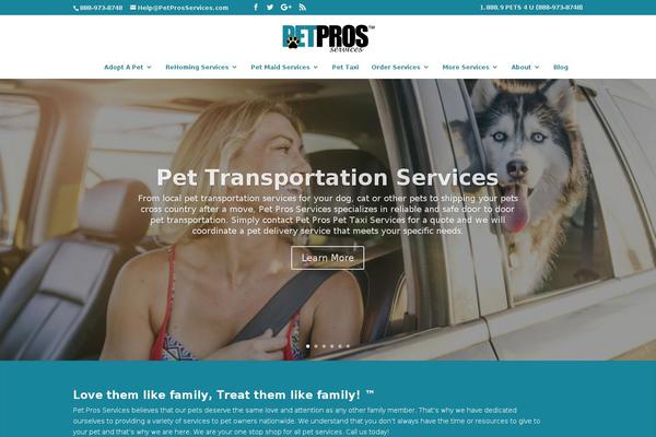 Site using Divi-footer-editor plugin