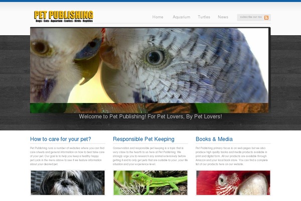 Onixus theme site design template sample