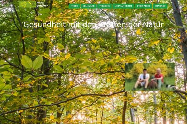 Healthcoach-child theme site design template sample