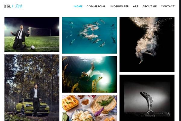 Site using Uncode-daves-wordpress-live-search plugin