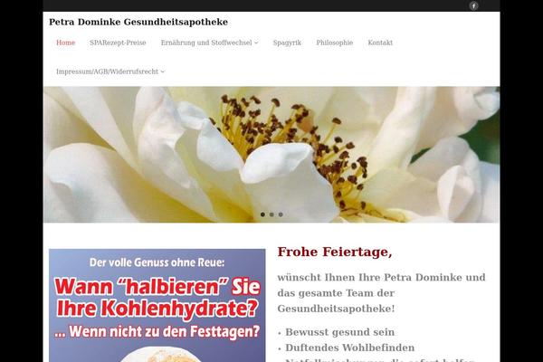 Minamaze (Pro) theme site design template sample