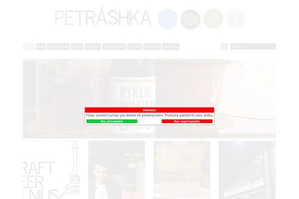 Grid Theme Responsive theme site design template sample