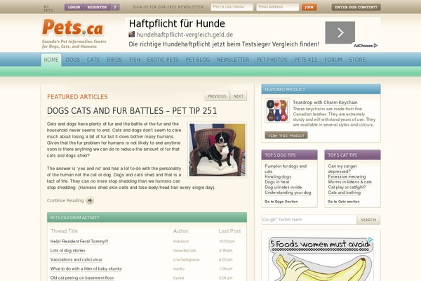 Pets theme site design template sample