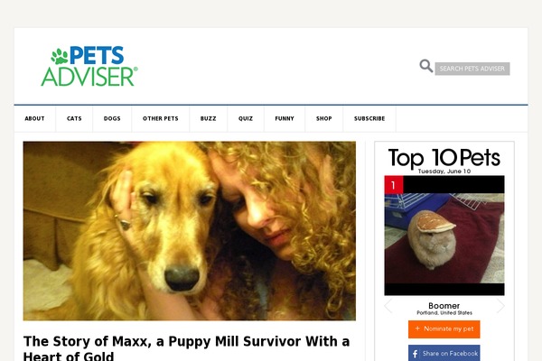 Site using Sg-cachepress plugin