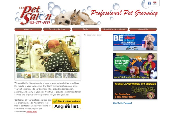 Piccione theme site design template sample