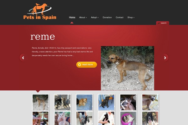Site using Gtw plugin