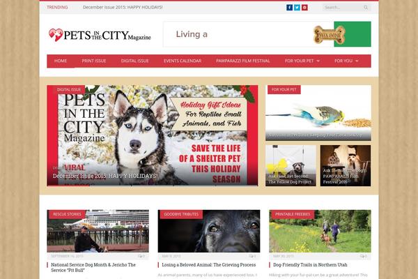 SmartMag Child theme site design template sample