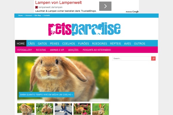 Blogster theme site design template sample